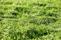 JPG_2327