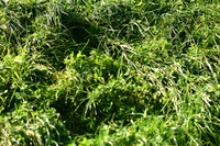 JPG_2369