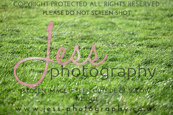 TGHT (370)