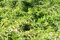 JPG_2392