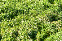 JPG_2401