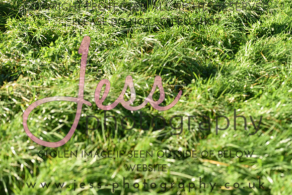 JPG_2502