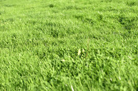 JPG_2573