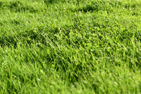 JPG_2583