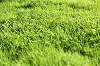 JPG_2597
