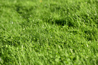 JPG_2564