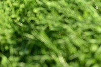 JPG_2783