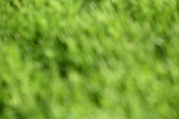 JPG_2901
