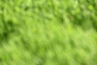 JPG_2926