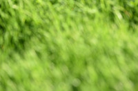 JPG_2940