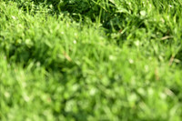 JPG_2953