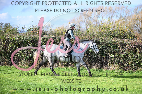 TGHT (433)
