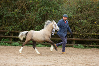 IMG_1324