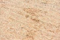 JPG_3162