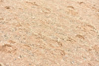 JPG_3176