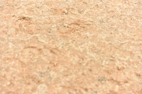 JPG_3222
