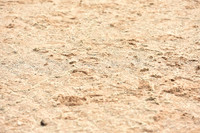 JPG_3329
