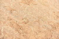 JPG_3343