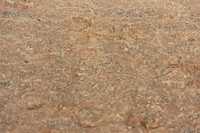 JPG_3560