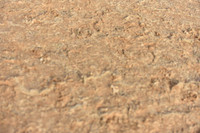 JPG_3576