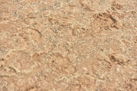 JPG_3856