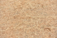 JPG_3872