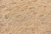 JPG_4173