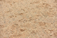 JPG_4188