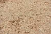 JPG_4436