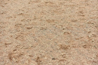 JPG_4450