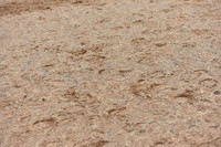JPG_4630