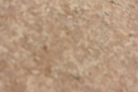 JPG_4616