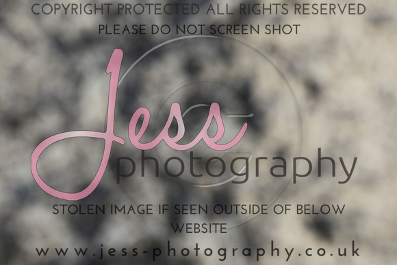 JES_6119