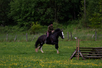 NFR (221)