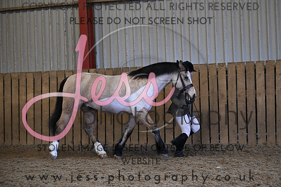 TGXMAS (91)