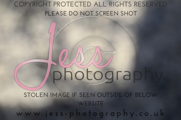 JES_5435