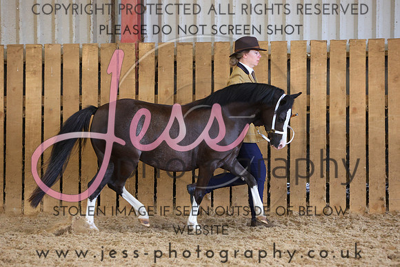 TGS_0950