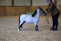 TGIH (148)