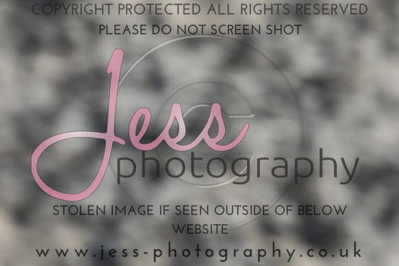 JES_6144