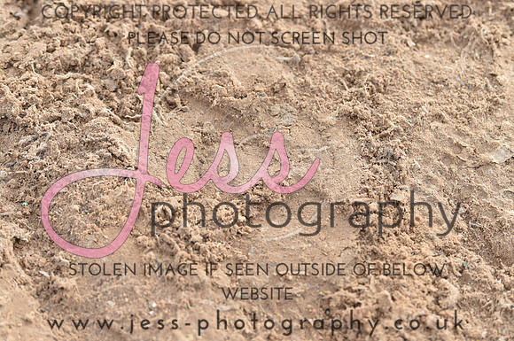 JES_4358
