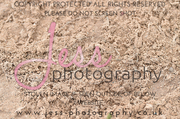 JES_4409