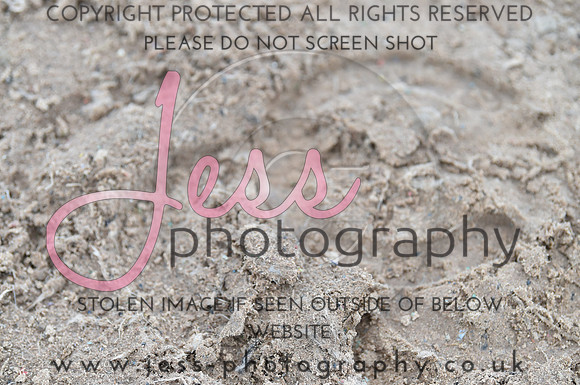JES_4584