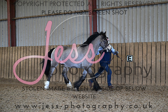 TGSDR (340)