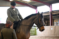 Riding Horse/Hunter