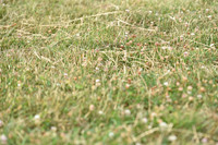 JPG_7179