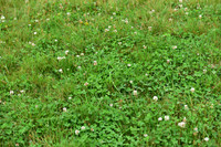 JPG_5557