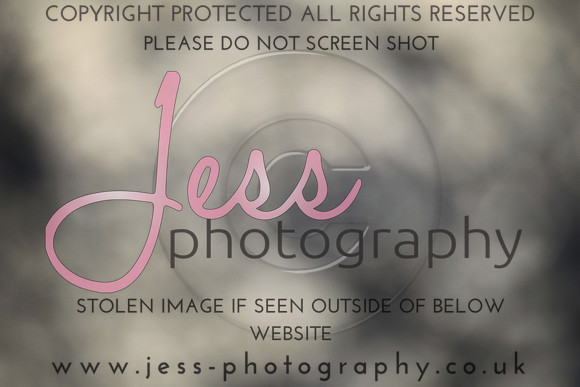 JES_5353