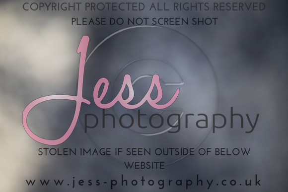 JES_5363