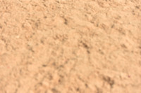 JPG_6154