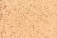 JPG_6168